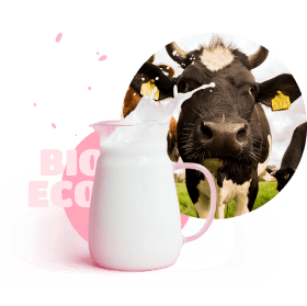a jug of milk and a cow behind